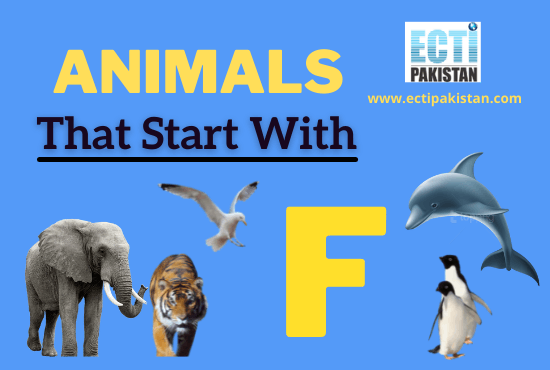 Animals that start with f