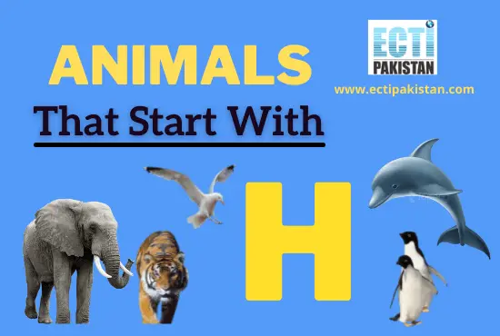 ECTI Pakistan - Animals that start with H